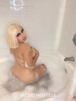 23 year old Escort in Tampa FL ✨Pac Man 3000