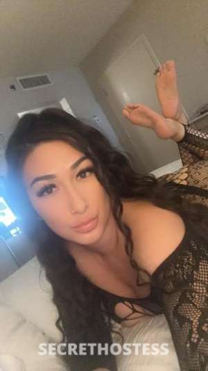 Alaura 27Yrs Old Escort Amarillo TX Image - 5