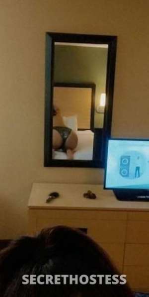 Honey 27Yrs Old Escort Greenville SC Image - 1