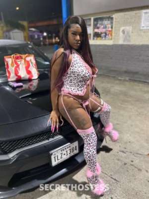 NiaHoudini 20Yrs Old Escort Hampton VA Image - 6