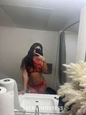 21 year old Escort in Los Angeles CA Star the slim thiccness