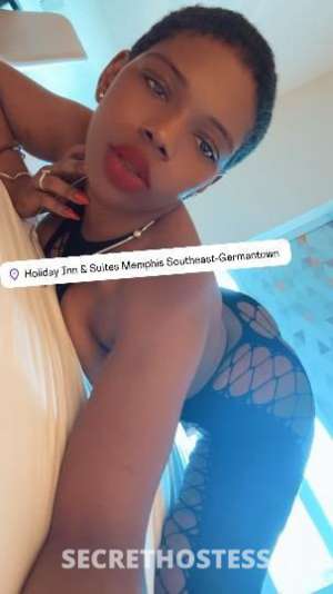 PussyCatDoll? 24Yrs Old Escort Cleveland OH Image - 4