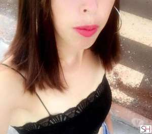 26 year old White Escort in Xanxere Santa Catarina Acompanhante luxo