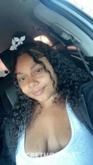 28 year old Escort in Los Angeles CA Lovely Lightbright delight? Nice Big Ass? Look No Further