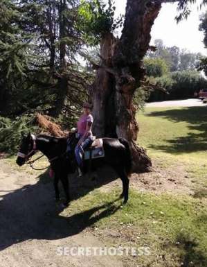 Jennifer 53Yrs Old Escort Modesto CA Image - 8