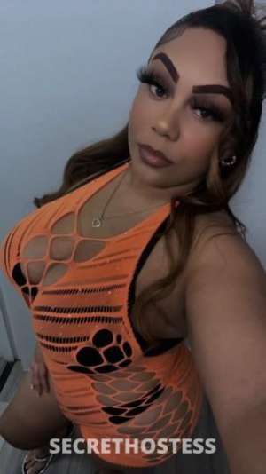 25 year old Thai Escort in Norfolk VA Norfolk CLASSY CLEAN SWEET CICI Stop looking you found me