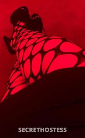 MistressRabbit 20Yrs Old Escort Knoxville TN Image - 4