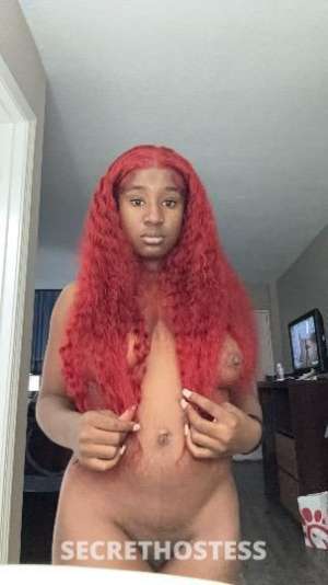 21 year old Escort in Corpus Christi TX PYT 21Yrs Old Escort Corpus Christi TX