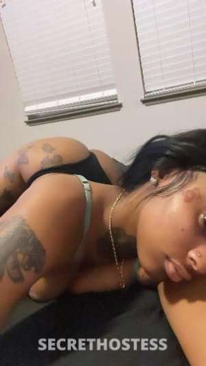 Yanni 23Yrs Old Escort Warwick RI Image - 1
