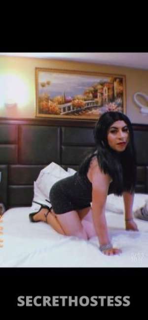 Eff 26Yrs Old Escort New Haven CT Image - 4