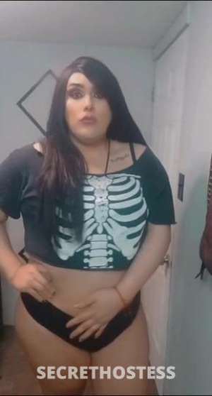 Lolaa 28Yrs Old Escort McAllen TX Image - 3