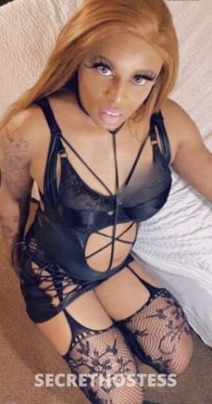 26 year old Escort in Dallas TX 10 ff incall/outcall now❤. north dallas area 10ff heavy 