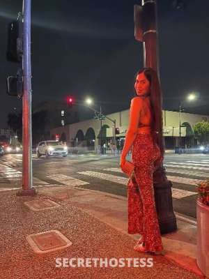 25Yrs Old Escort San Jose CA Image - 3