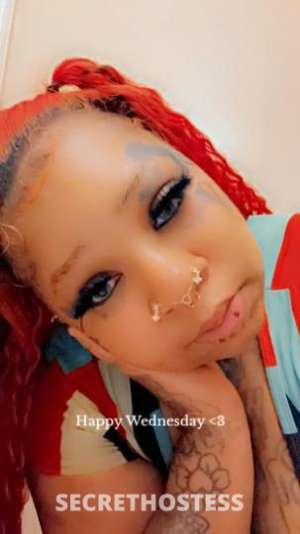 29 year old Chinese Escort in Columbus GA chinesekitty