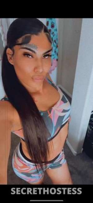 25 year old Japanese Escort in Los Angeles CA 8 Inch TS Jap