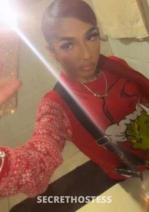 19 year old Cuban Escort in Atlanta GA . number hmu ‼ts exotic rican mixed cuban european 