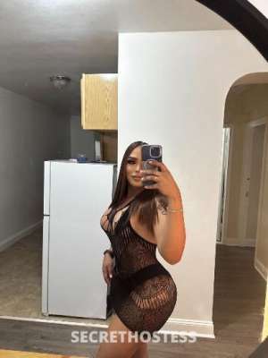 25 year old Dominican Escort in New Haven CT Vanessa Tranny Hottes bich