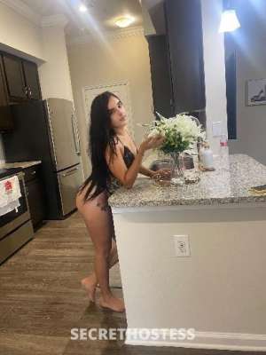 Brenda 24Yrs Old Escort Corpus Christi TX Image - 1