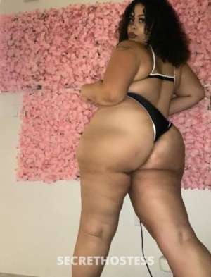 Nami 24Yrs Old Escort Long Beach CA Image - 5