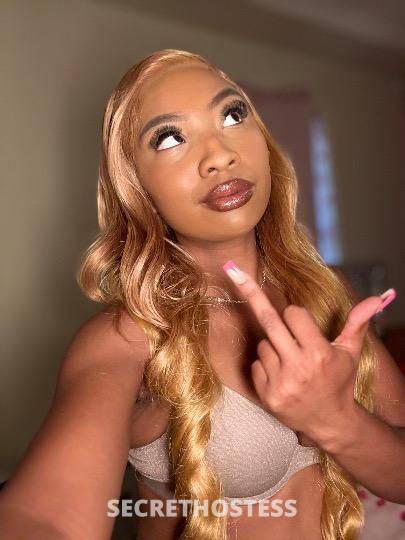 21Yrs Old Escort Corpus Christi TX Image - 2