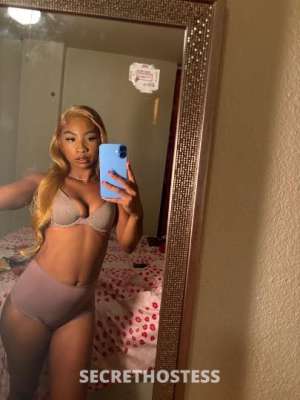 21Yrs Old Escort Corpus Christi TX Image - 3