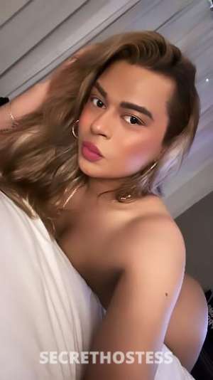 25 year old Latino Escort in Warwick RI Ts Latina Ready to fulfill your fantasies with a delicious 