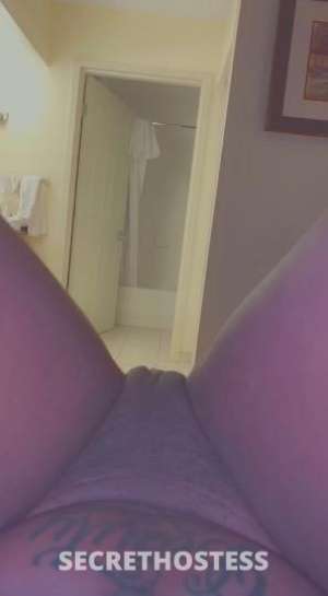 22 year old Escort in Dallas TX your favorite pretty slim thick hottie . INCALL ONLY 100% 