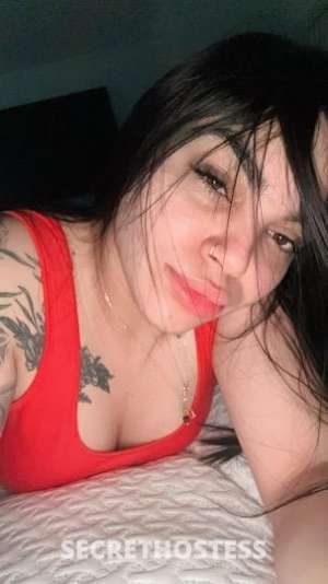 23 year old Latino Escort in El Paso TX Geydi