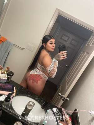 24 year old Latino Escort in North Bay CA Sexy latina in town