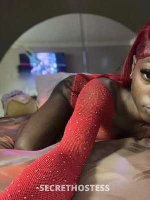 Mookiie 21Yrs Old Escort Memphis TN Image - 9