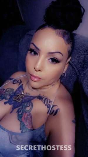 Sexy Exotic Mix friendly ask 4 Nariah in Wichita KS