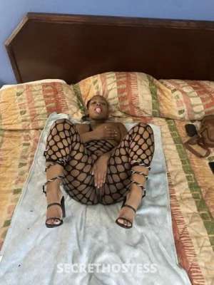 Shygirl 33Yrs Old Escort Macon GA Image - 4