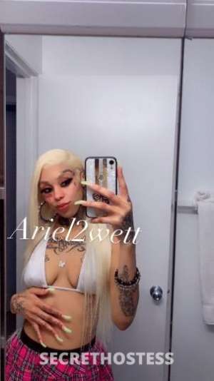Ariel 24Yrs Old Escort Reno NV Image - 3