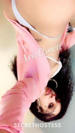 Ariel 24Yrs Old Escort Reno NV Image - 4