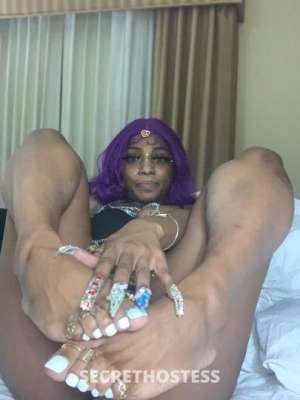 Ebony 24Yrs Old Escort Charleston SC Image - 1