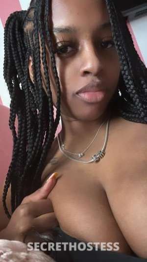 sugar daddy in Monroe MI