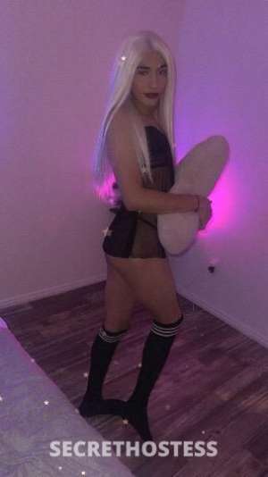 Barbie 27Yrs Old Escort Salt Lake City UT Image - 3