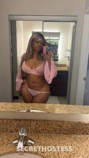 27 year old Escort in Orlando FL Gorgeous Ebony Companion