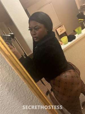 22 year old Escort in Seattle WA Fuck me like a slut
