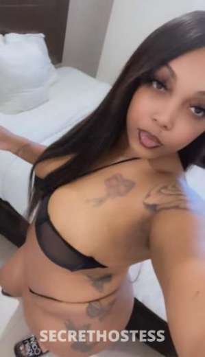 25 year old Escort in Chesapeake VA Jazz your fav is back incall
