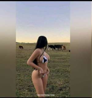 Camshow only im not in india, escort in Surat