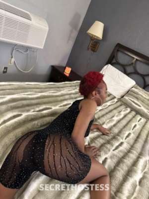 Desire 24Yrs Old Escort Meridian MS Image - 4
