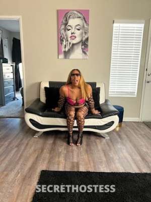 Escort 162CM Tall Phoenix AZ Image - 2