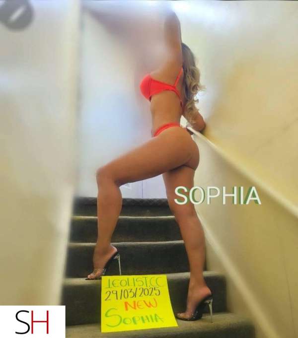 25Yrs Old Escort Toronto Image - 2