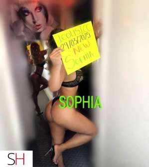 25Yrs Old Escort Toronto Image - 8