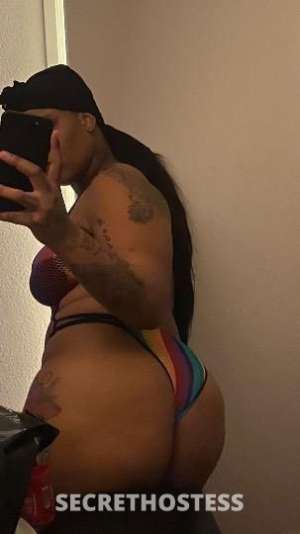Star✨ 24Yrs Old Escort Huntsville AL Image - 4
