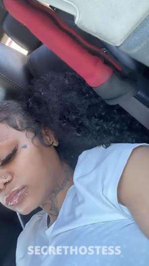 24Yrs Old Escort Flint MI Image - 8