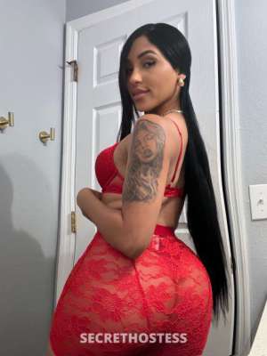24 year old Hispanic Escort in Tampa FL Soy una chica caliente cubana con ganas de jugar bien rico