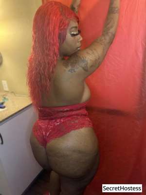 Escort model Dream, San Jose in San Jose CA