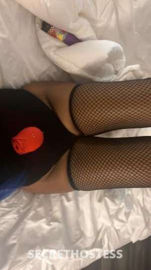 20Yrs Old Escort High Point NC in High Point NC